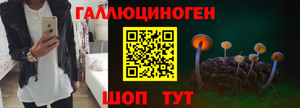 где можно купить наркотик  Галлюциногенные грибы MAGIC MUSHROOMS  Вход с VPN  Ржев 