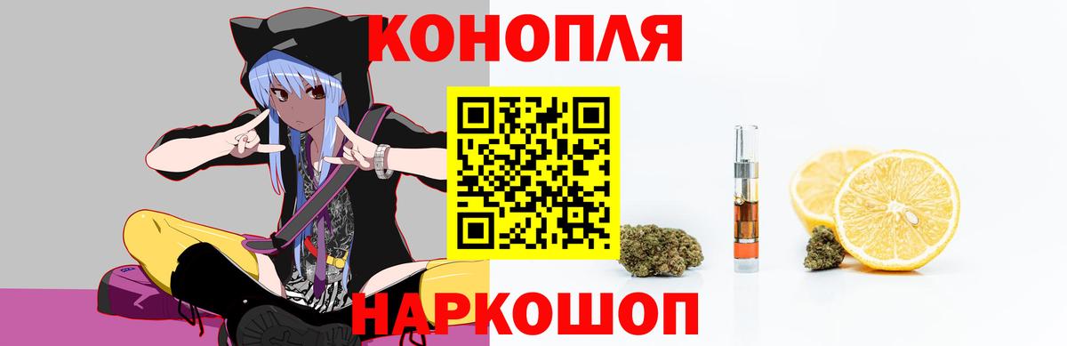 Бошки Шишки план Ржев